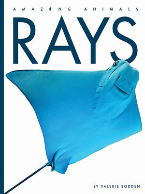 Rays - ebook
